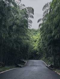 繼承「王位」，雨後初晴時，雲海翻騰