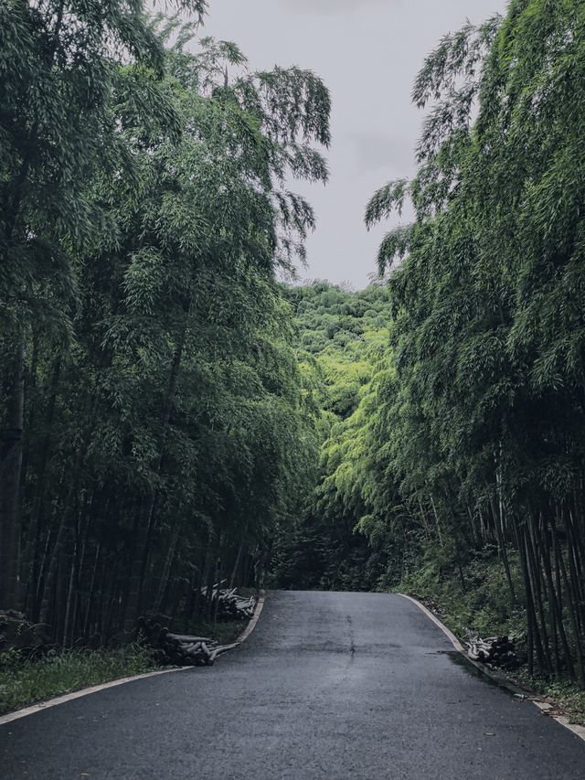 繼承「王位」，雨後初晴時，雲海翻騰
