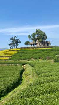 浙江麗水松陽，人均500住進《國家地理》封面！