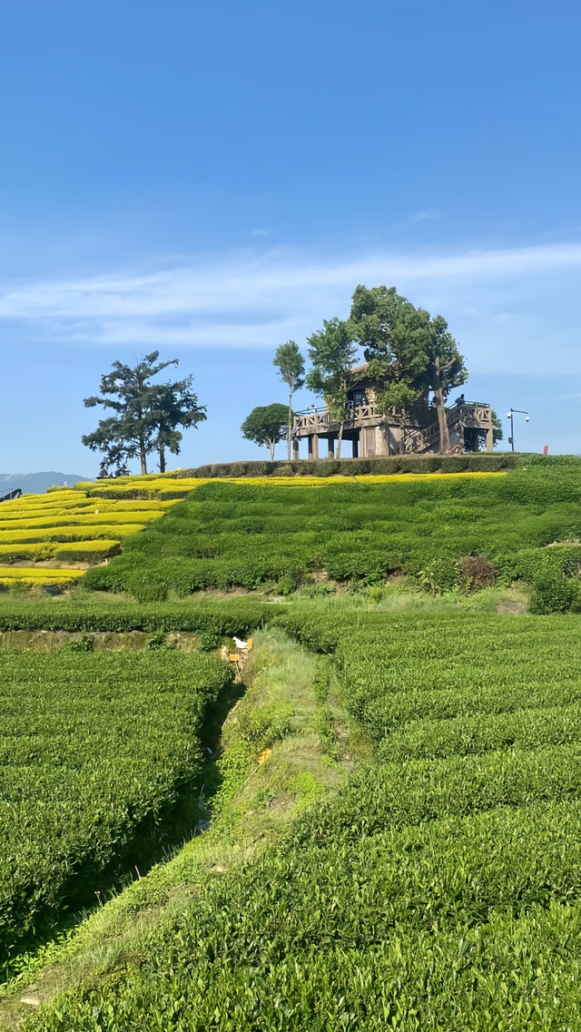 浙江麗水松陽，人均500住進《國家地理》封面！
