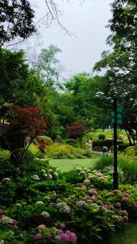 青島中山公園花溪谷