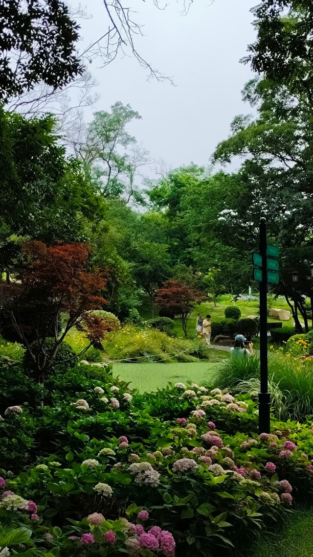 青島中山公園花溪谷
