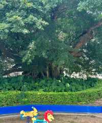 廈門大埕公園，治癒系打卡