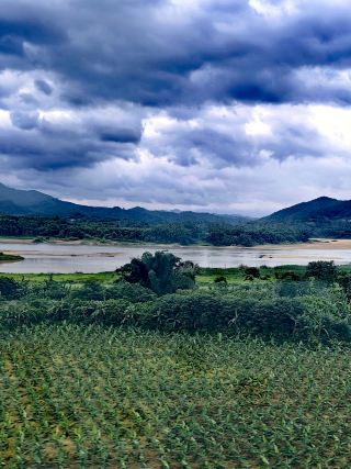 鄉土中國——高鐵沿途嘅風景（東南）