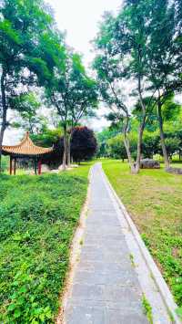 夏日暢遊煙台牟平沁水河口國家濕地公園