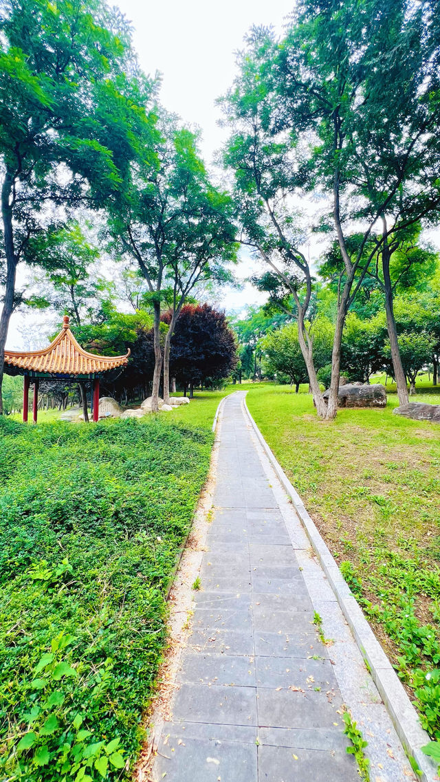 夏日暢遊煙台牟平沁水河口國家濕地公園