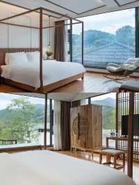 福建武夷山！住進茶山小院！