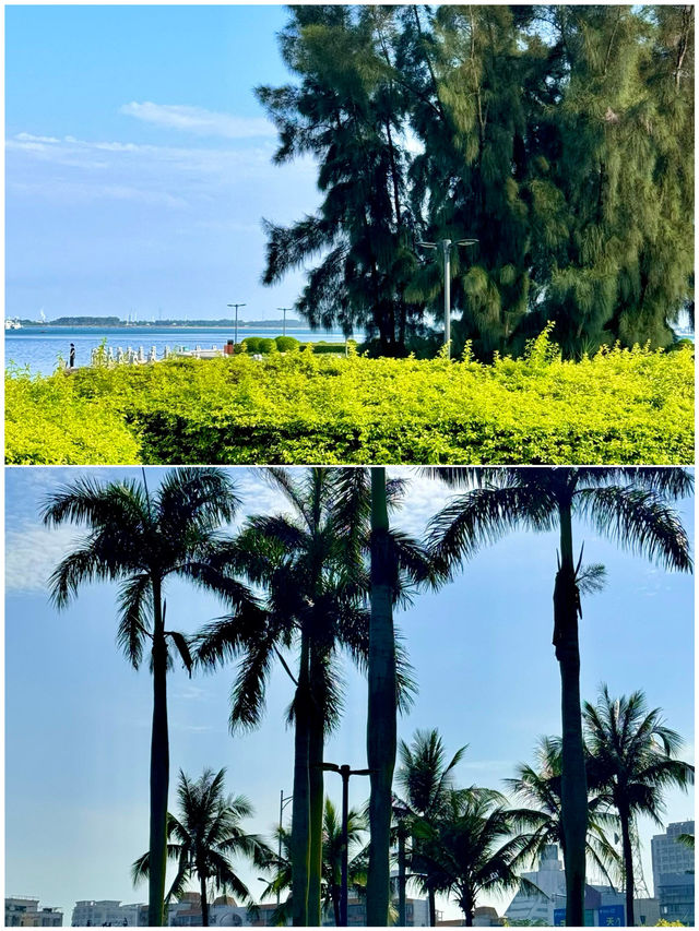 放棄威海啦，呢度真係太正啦