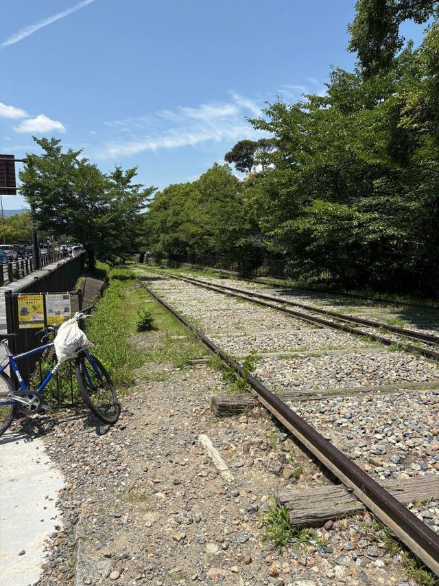 京都真係玩唔厭，去咗仲想再去。