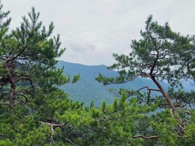 去咗4次五女峰國家森林公園，終於玩到明！