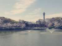大阪隱世綠洲！天王寺公園沉浸式體驗報告】**  