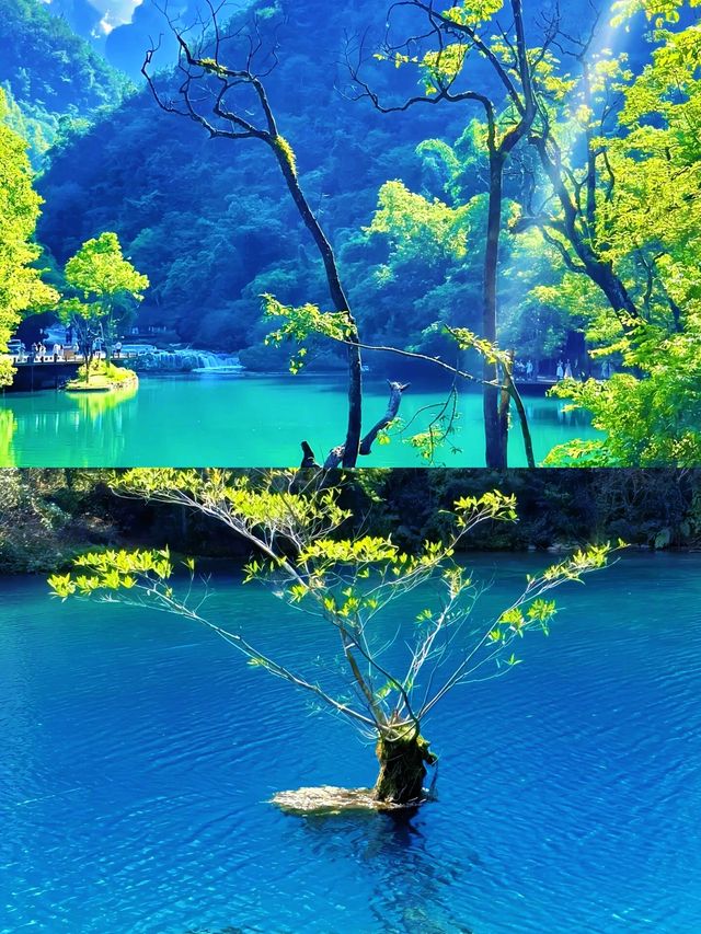 "闖入仙境！小七孔Tiffany藍，夏日25℃避暑！"