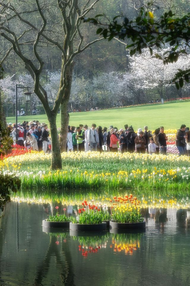 太子灣公園旅遊攻略