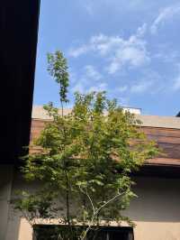 成都呢間酒店自帶柔光濾鏡雪松香，浸到我成身都係