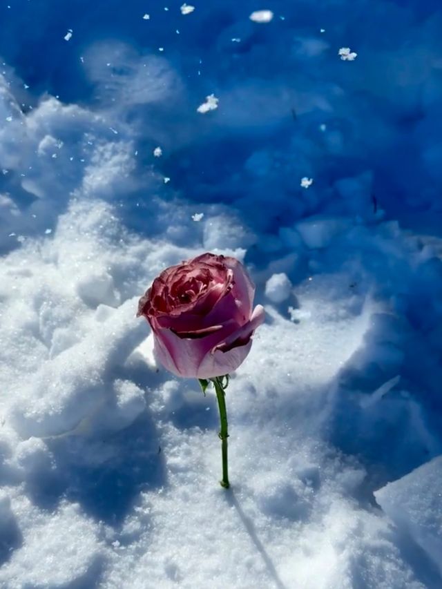 冰雪與光影交織嘅秘境