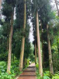 世界桌山-瓦屋山，來邂逅一場雲端的綺夢，奔赴這場心靈之約！