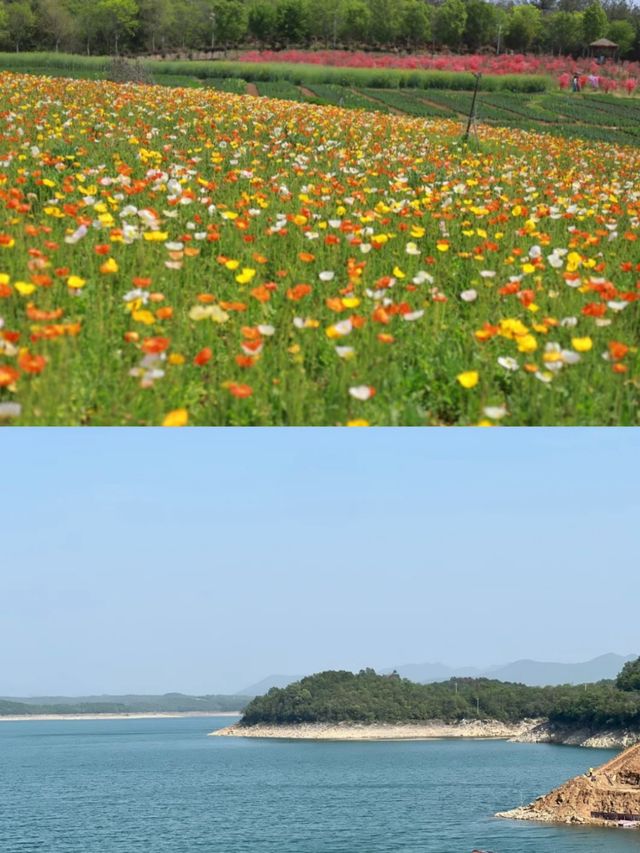 週末自駕｜鍾祥溫峽→京山惠亭，邂逅鄂中雙庫嘅靜謐與浪漫