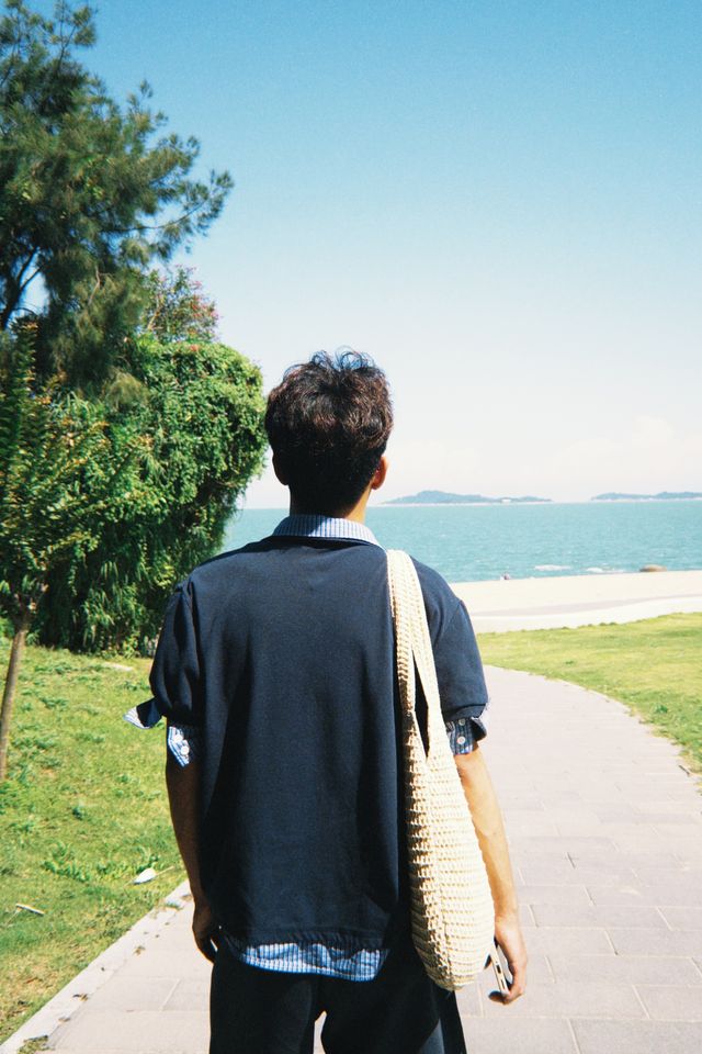 椰林海景絕美視角