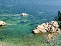 去咗4次養馬島，終於玩明白晒！
