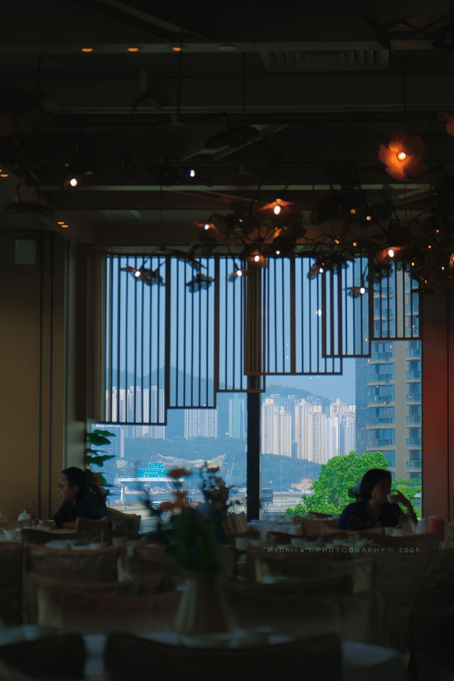 一盅兩件睇維港嘅治癒邊個明啊