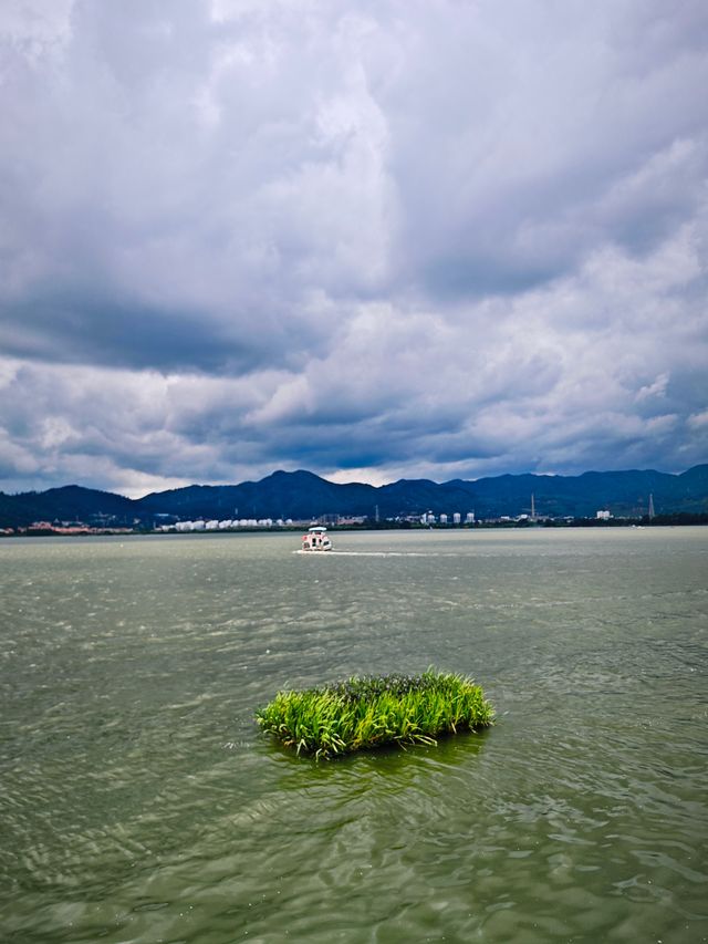 雲南之旅
