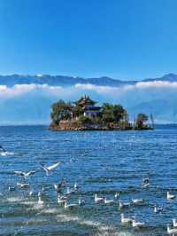 【大理洱海｜一場將風花雪月揉進時光的治癒之旅】