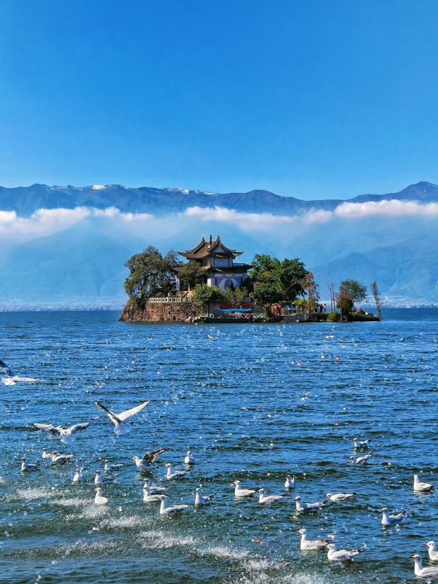 【大理洱海｜一場將風花雪月揉進時光的治癒之旅】