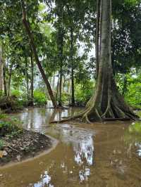 Kuang Si Waterfalls in the Rainy Season: Wild, Wet, Worth It