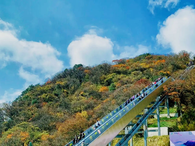 8處有電梯嘅山，適合懶人爬嘅山，遊山玩水更輕鬆