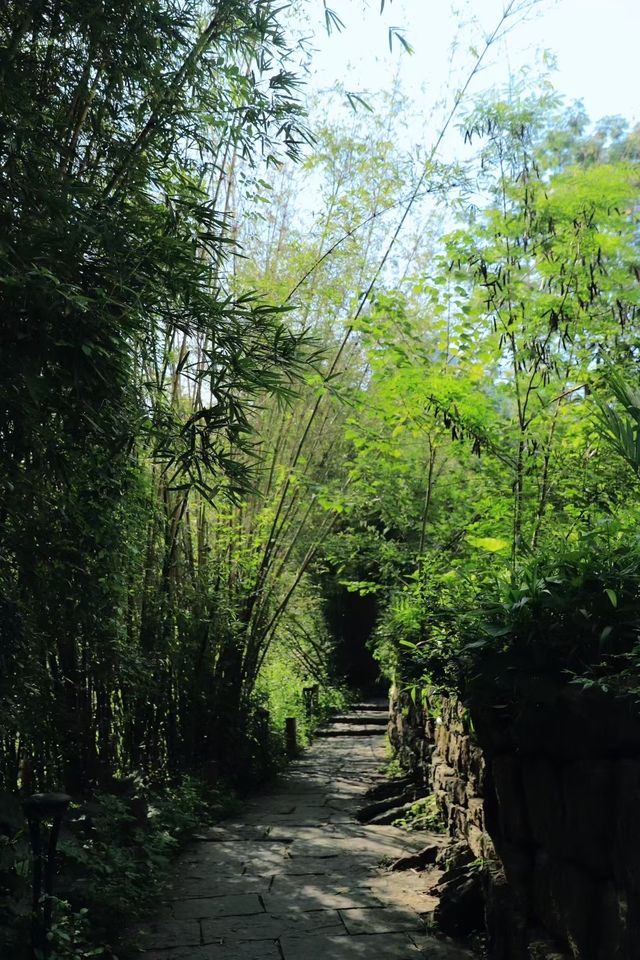 你們知道這是哪裡嘛？柳州呀……