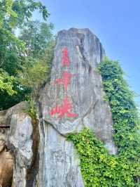 蒼翠深谷，幽泉之歌 —— 青峰峽