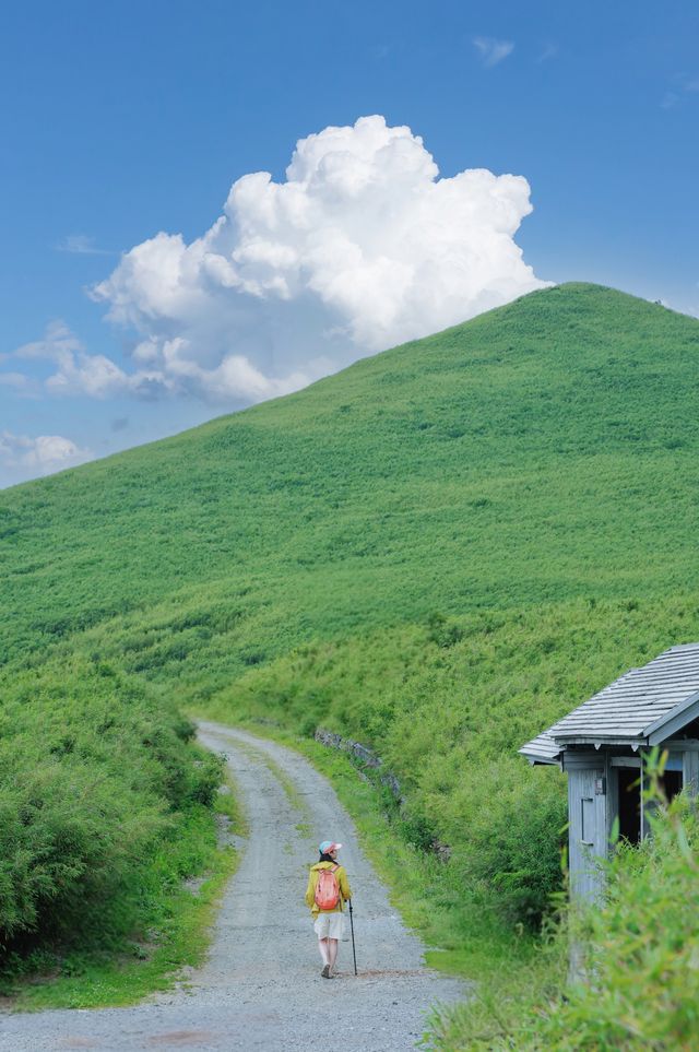 進山避暑，湖北首選秘境神農架