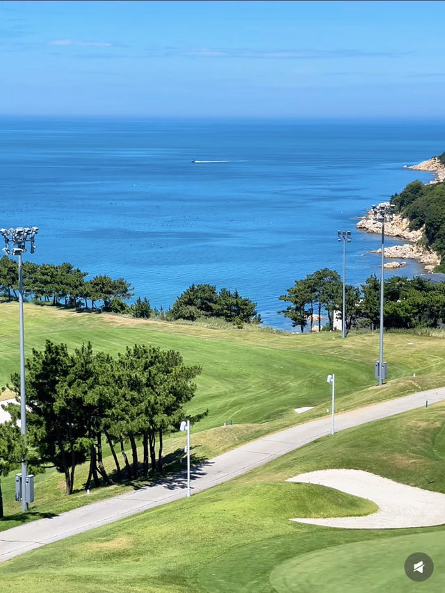 喂海公園旅遊攻略｜向海而生的城市秘境