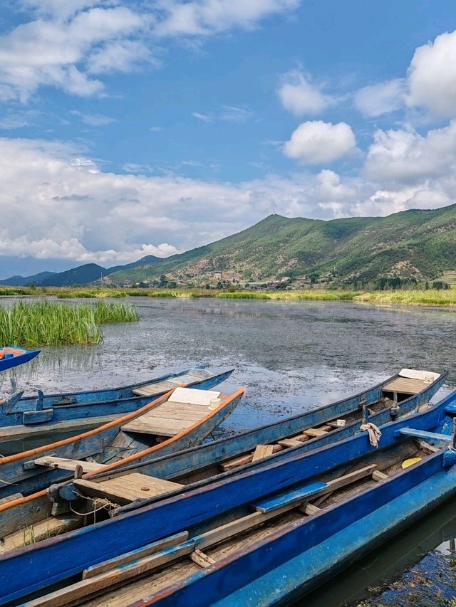 The "Grass Sea" by Luguhu Lake​