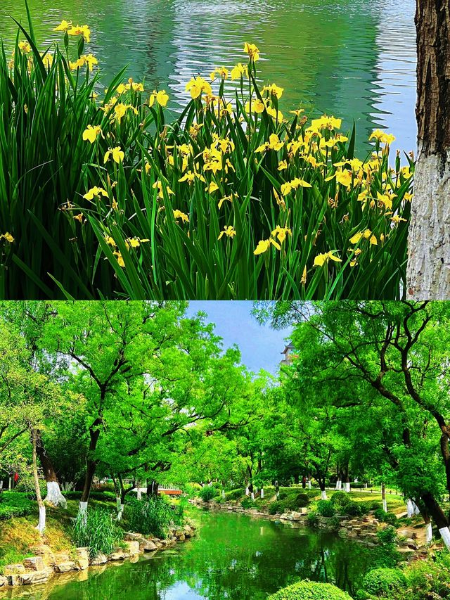 暴走十三朝！西安4天3晚沉浸式攻略吃貨+歷史控必衝