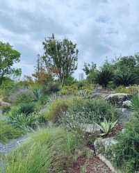 童話裡的小屋，上海植物園秋日兔子派對