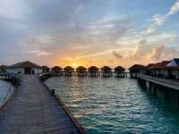 Incredible Holiday at Cinnamon