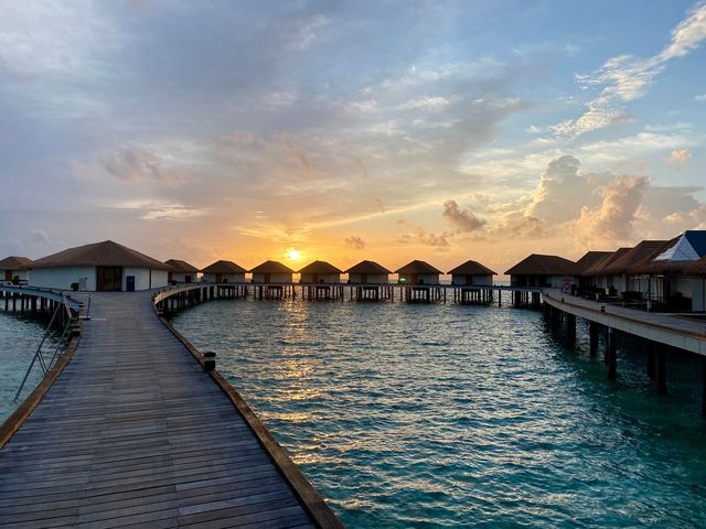 Incredible Holiday at Cinnamon