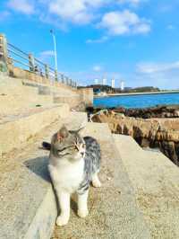 黃金山浴場：旅順原生態觀海寶地，歷史與海景交融超惬意