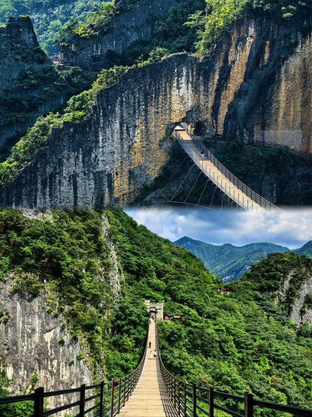 感謝《國家地理》真的太驚豔了！！！