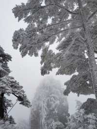 黃山冬日仙境！保姆級雪景攻略+冷門機位大公開 杭州出發2h直達！黃山雪景封神了家人們！ 