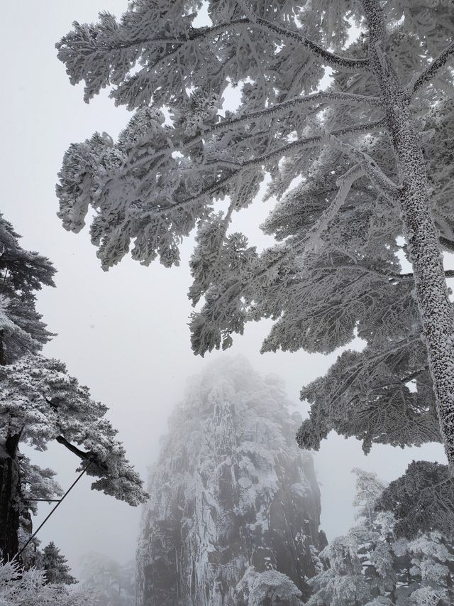 黃山冬日仙境！保姆級雪景攻略+冷門機位大公開 杭州出發2h直達！黃山雪景封神了家人們！ 