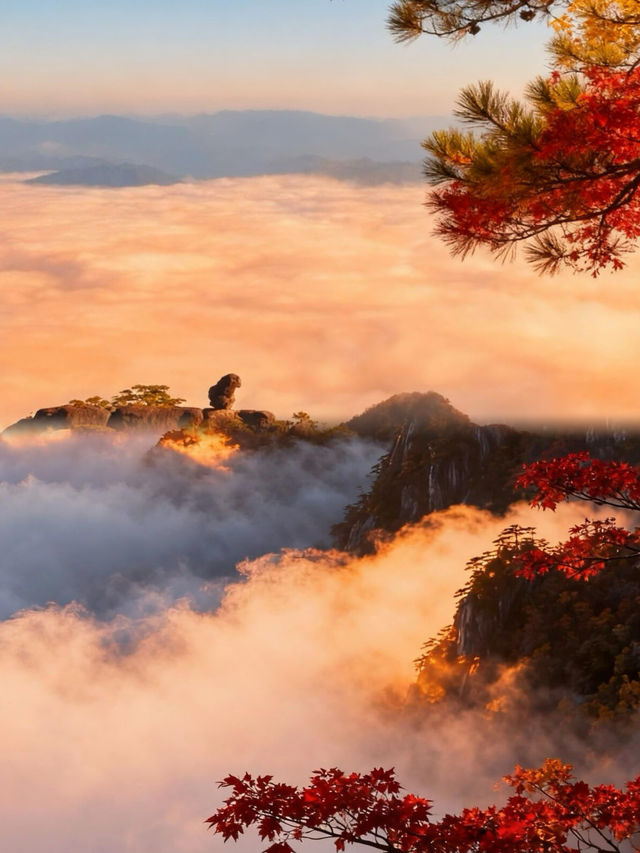 美哭了！秋日黃山錯過又等一年！