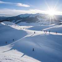 亞布力森系暖居別墅｜滑雪+森氧+輕奢度假的全能選手