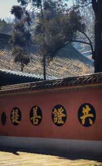 昆明周邊冷門古剎 | 8元打卡600年盤龍寺！
