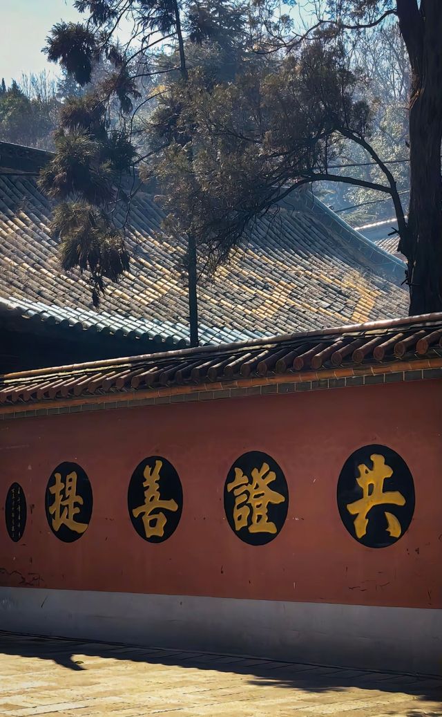 昆明周邊冷門古剎 | 8元打卡600年盤龍寺！