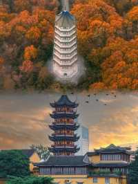 誰懂啊10月的南京,把“秋日氛圍感”玩出了新高度。