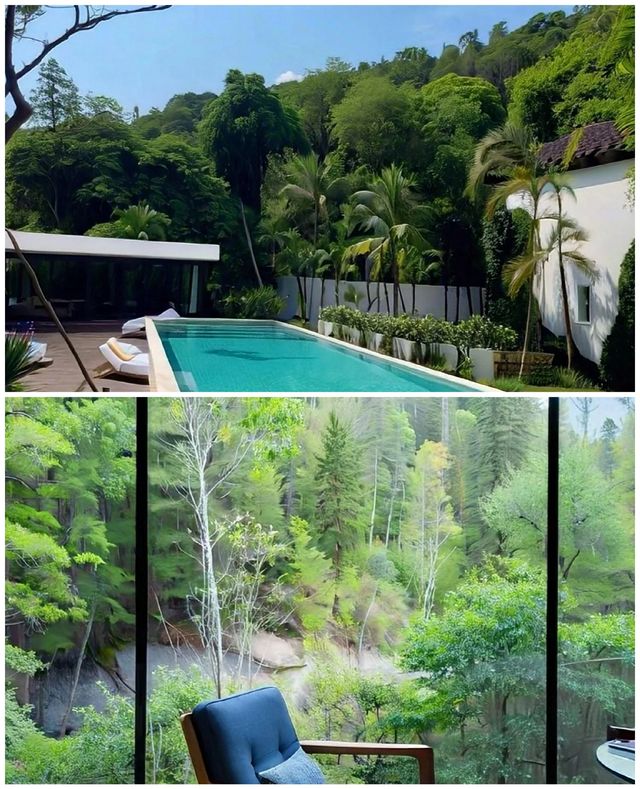 湖州莫干山私湯民宿！和閨蜜一起去玩住到不想走！