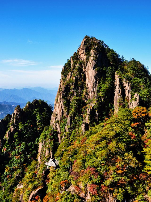 徐霞客誠不欺我黃山日出雲海絕了