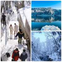 南方人的冬日狂想：2025-2026雪季廬山賞雪全攻略